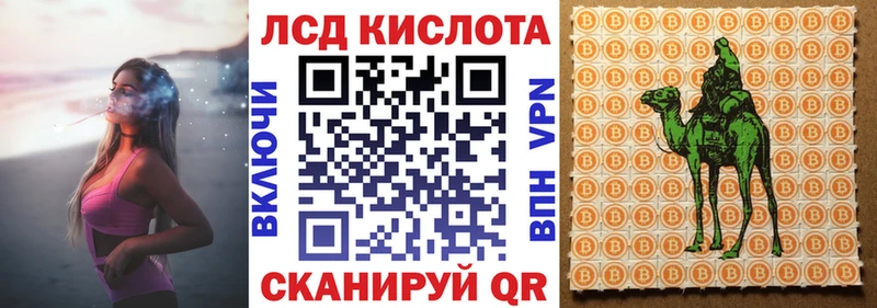 Наркотические марки 1500мкг  Купить закладки  Чкаловск 