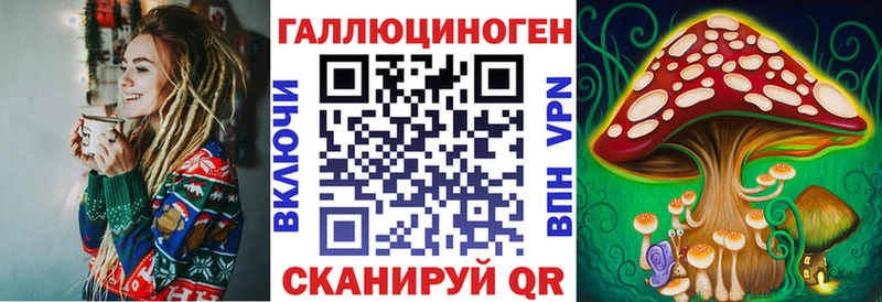 Псилоцибиновые грибы Cubensis  Купить где  Чкаловск 